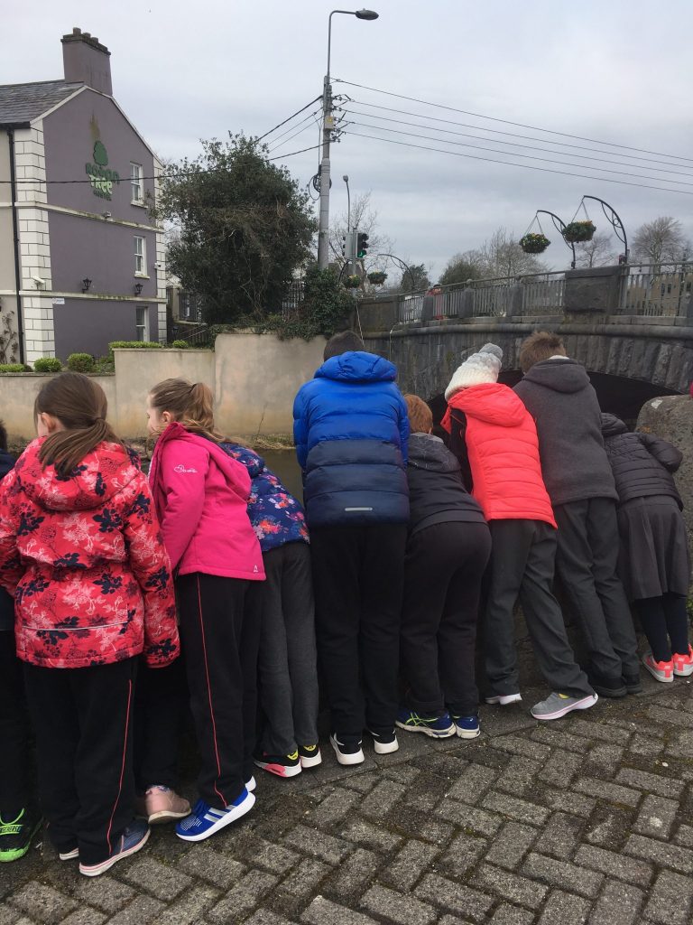 school tours ennis